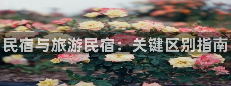 球盟会app手机登录|民宿与旅游民宿：关键区别指南